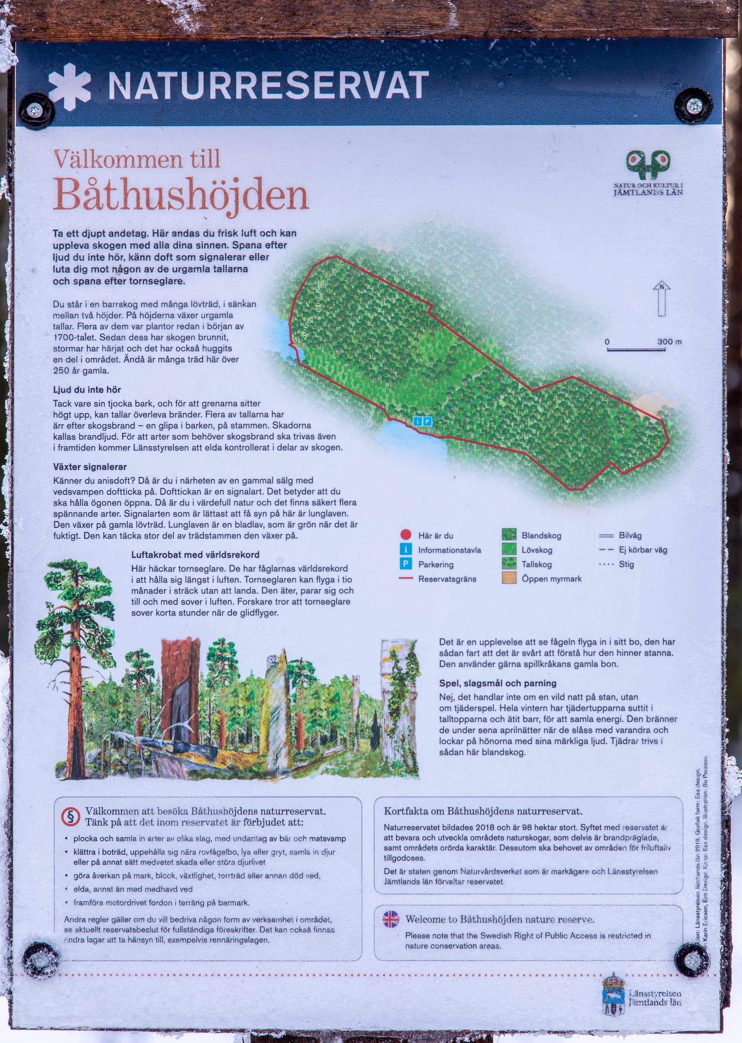 Båthushöjden